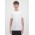 Youth Basis Short Sleeve Tee - Ecru