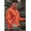 Unisex Streetworx Water Resistant 1/4 Zip Pullover - Orange